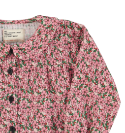 Piupiuchick | Peter Pan kraag blouse roze gebloemd