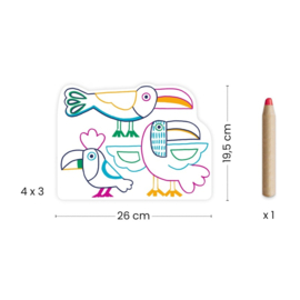 Djeco Magische kleurkaarten Wilde Dieren Families DJ00066 |18m+