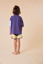 Sticky Lemon | Shorts Better Together | Metallic Navy