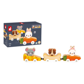 Janod Magnetische Huisdieren | 18 m+