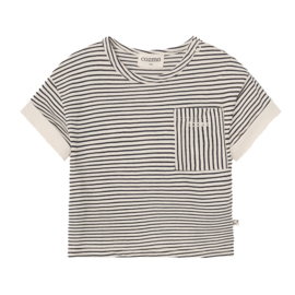 Cozmo baby T-shirt Biel - Offwhite navy gestreept