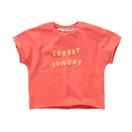 Sproet & Sprout baby T-shirt Sorbet Sunday