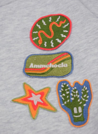 Ammehoela | Ernest Hoodie met patches