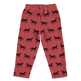 Piupiuchick | Joggingbroek met paardjes