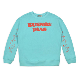 Ammehoela Rocky.78 sweater - Pool Blue