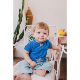 Lotiekids baby T-shirt Seagul all over - Royal Blue