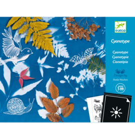 Djeco knutselpakket Cyanotype Startpakket DJ09339 | 7-99 jaar