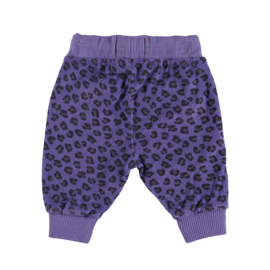 Piupiuchick | Terry baby broek paars met animal print