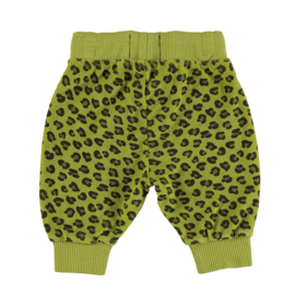 Piupiuchick | Terry baby broek groen met animal print