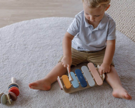 Plan Toys  | Houten Xylophone Orchard |12m +