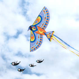 Djeco Vlieger Maxi Bird DJ02160 | 5+