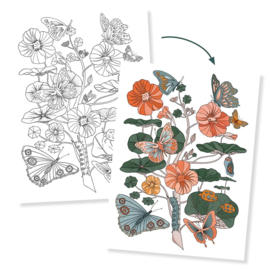 Djeco kleurposters Naturalist DJ08696 | 8-99