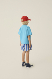 The Campamento - Blue Stripes Washed Shorts