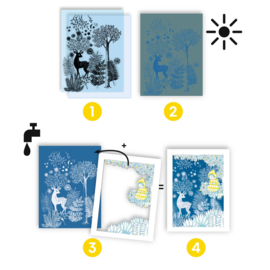 Djeco Knutselpakket Cyanotype Au Claire de la Lune DJ09342 | 7-99 jaar