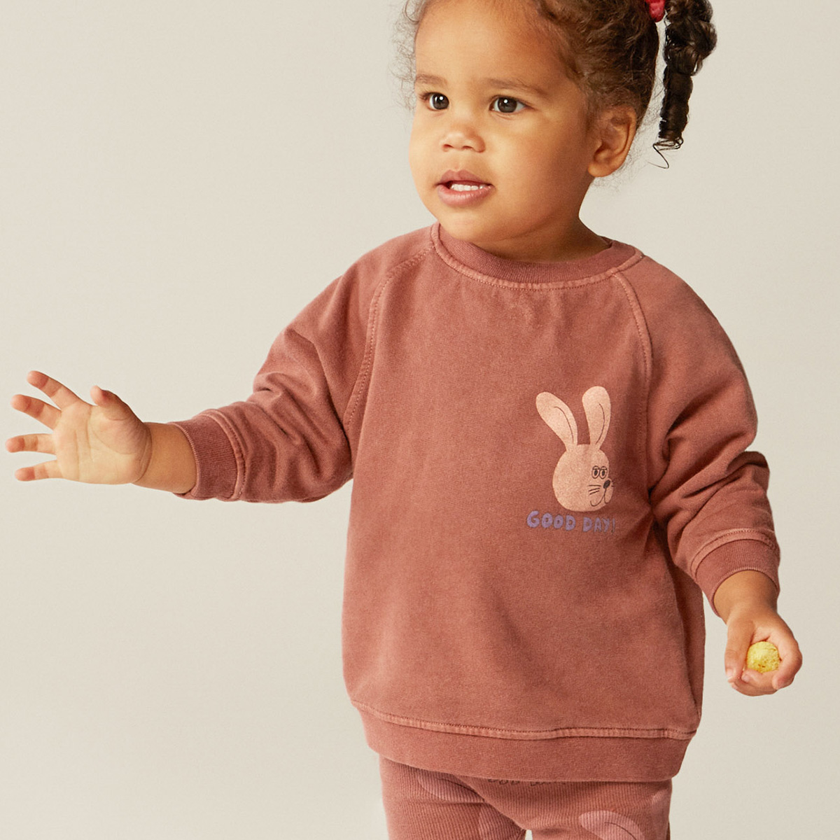The Campamento Purple Brown baby sweatshirt Rabbit