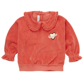 Sproet & Sprout  Sweatshirt Velvet met kraag