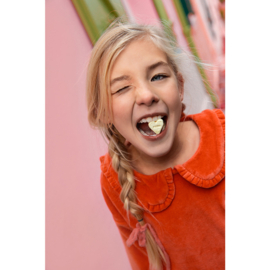 Sproet & Sprout  Sweatshirt Velvet met kraag
