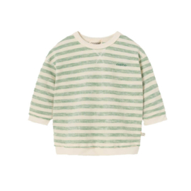 Cozmo baby sweater Thiago - Grass Green striped