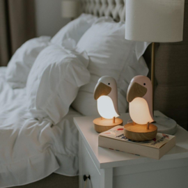 Mary 's | Oplaadbare Bluetooth speaker en LED lamp Toekan roze