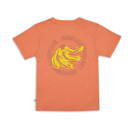 Ammehoela | Zoe T-shirt met rugprint AM.Zoe.67  | Coral Reef