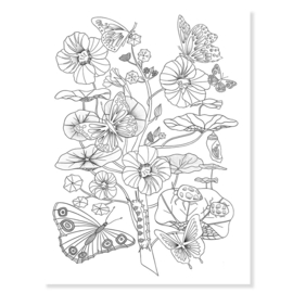 Djeco kleurposters Naturalist DJ08696 | 8-99