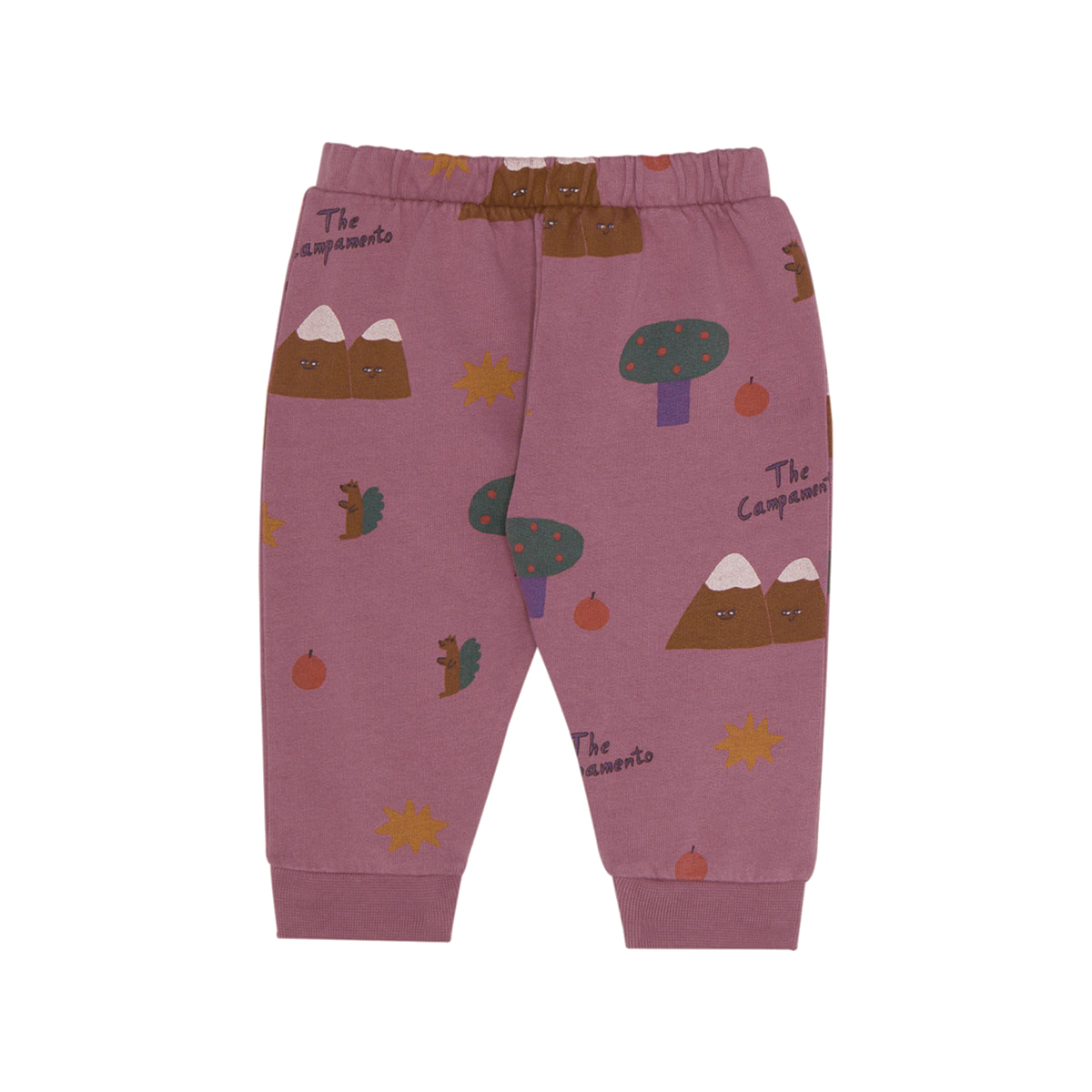 The Campamento Baby Jogger Mountains