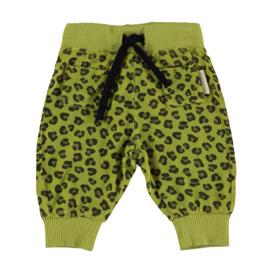 Piupiuchick | Terry baby broek groen met animal print