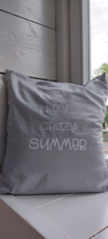 Kussen 50 x 50 Lazy Crazy Summer grijs