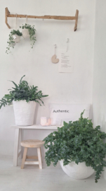 Kussen Authentic