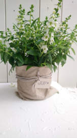 Plantbag small zand