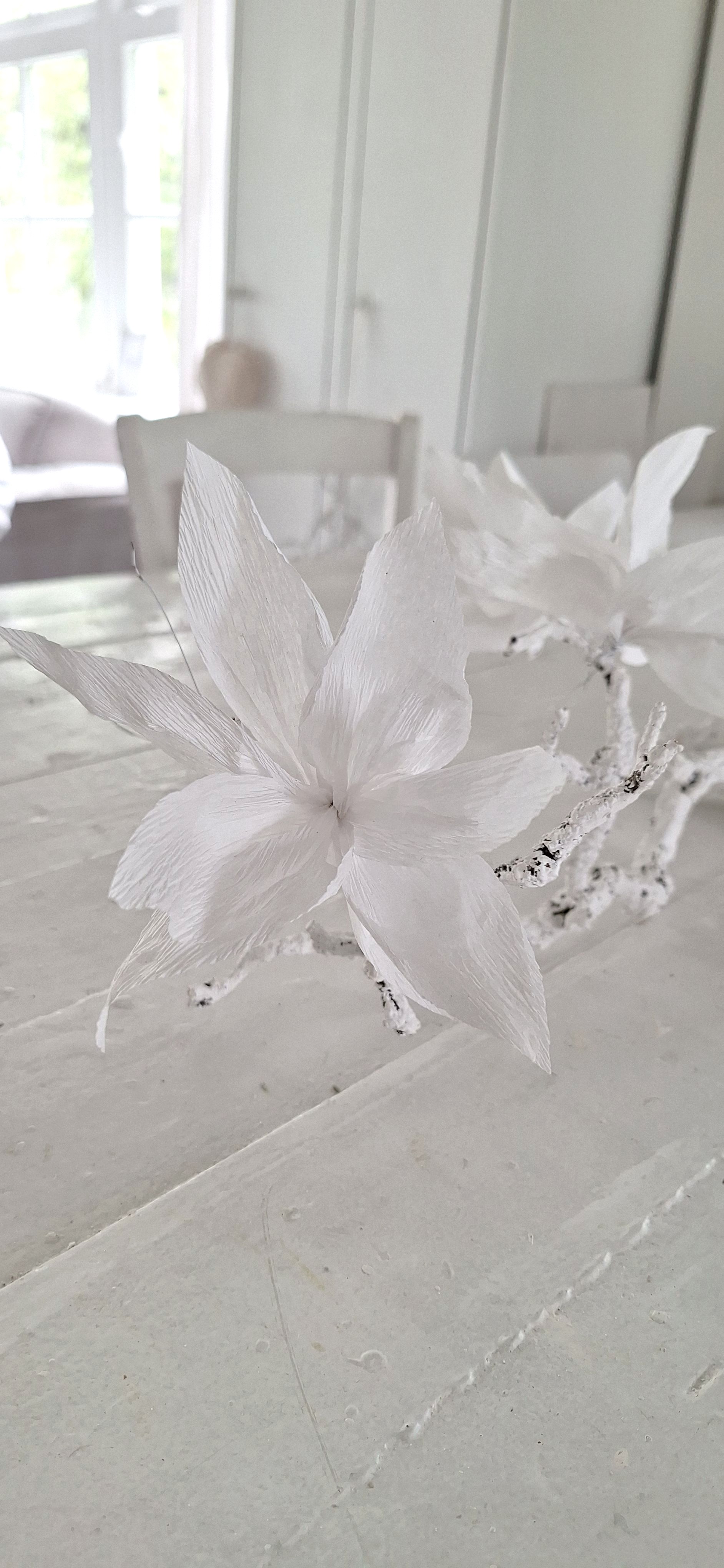 Fruittak met Magnolia Bloemen 5 st.