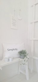 Cushion Simplicity