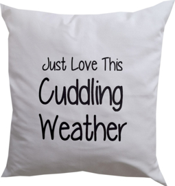 Kussen 50 x 50 Just love this Cuddling Weather