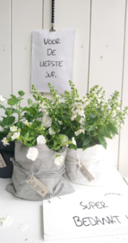 Plantbag small grijs