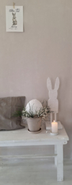 White Rabbit groot