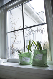 Fensteraufkleber Snowdrop mit Schneeglöckchen
