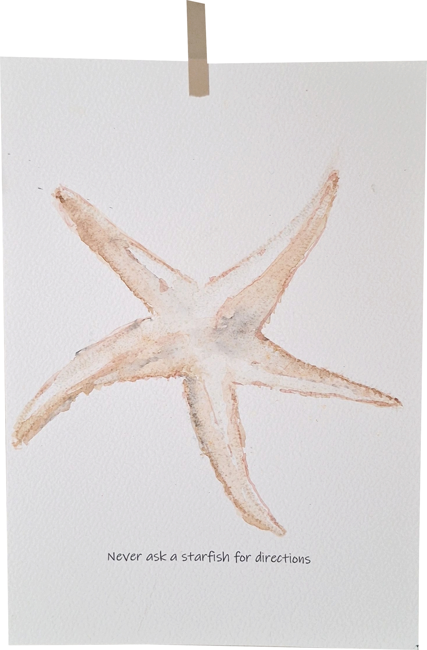 Starfish