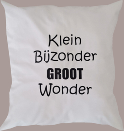Kussen 50 x 50 Klein Bijzonder
