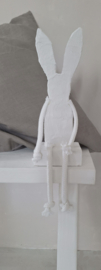 White Rabbit sitting