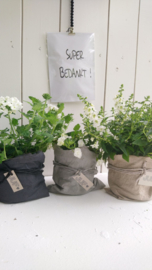 Plantbag small zand