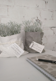 Paper plantbag off-white