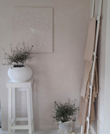 Canvaslijst Dandelion