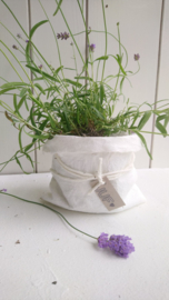 Plantbag small off-white