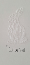 Canvaspaneel Reliëf Cotton Tail
