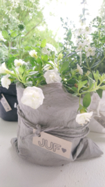 Plantbag small grijs