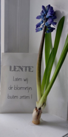 Geursachet Craft wit Lente laten wij de bloemetjes buiten zetten