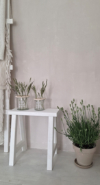 Flower plate middel