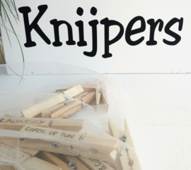 Wasknijpers 20 stuks