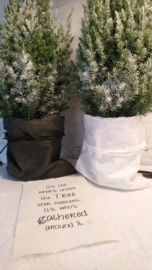 Karte A5 It's not what's under the tree