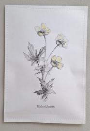 Geursachet Craft Boterbloem